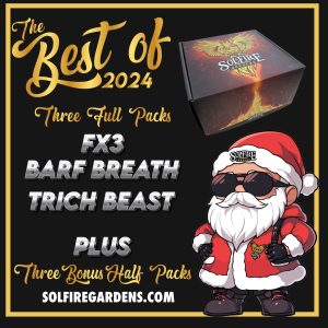 Solfire Gardens – Solfire Best of 2024 Box set