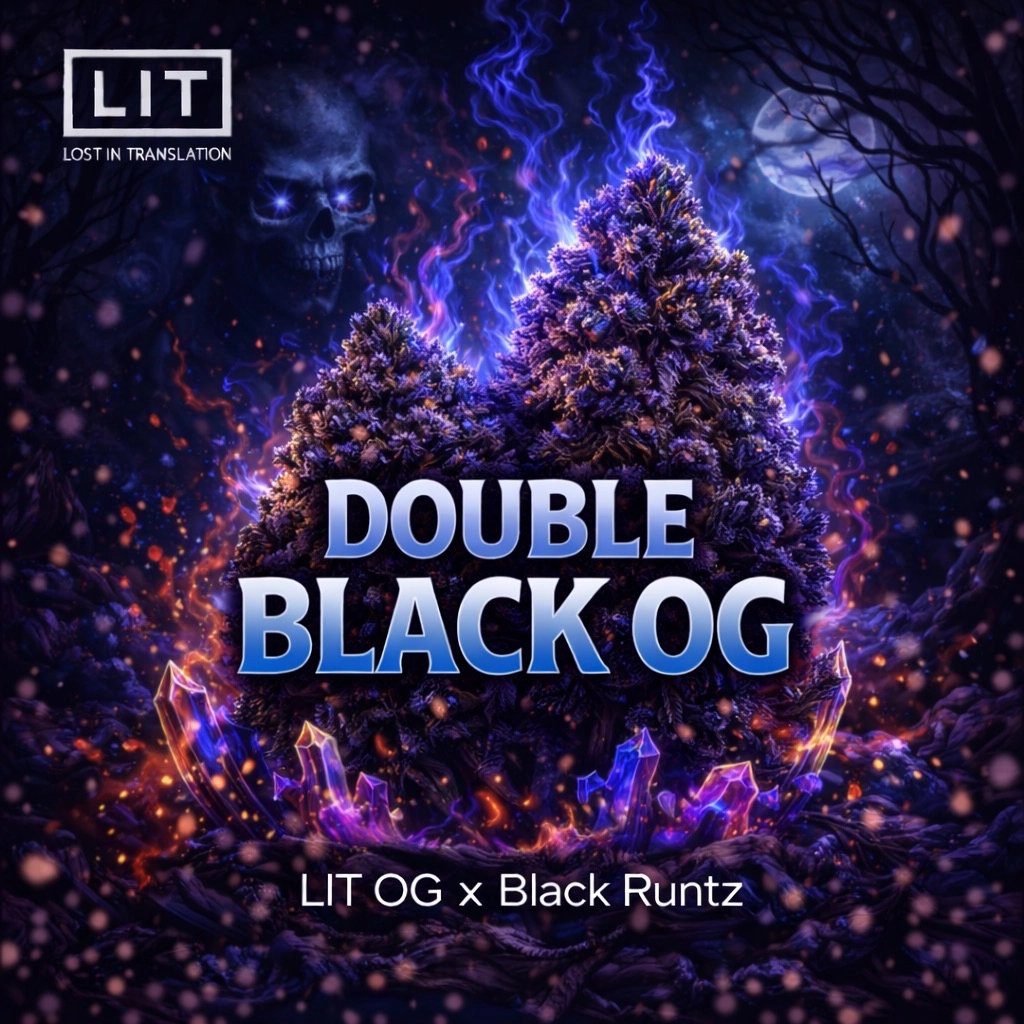 Double Black OG (F) [Black Christmas Shock Drop] by LIT Farms