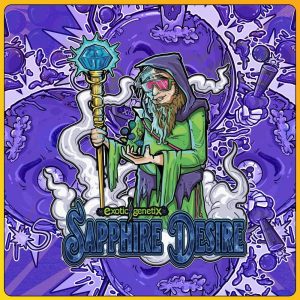 Sapphire Desire (F) [Blueberry Bang Bang Drop] by Exotic Genetix