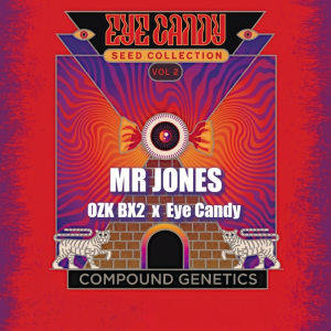 Mr Jones from Compound Genetics Feminized Seeds
