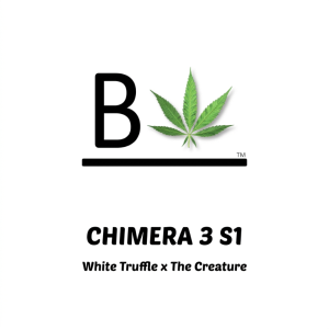 CHIMERA #3 S1 from Beleaf Cannabis feminized seeds