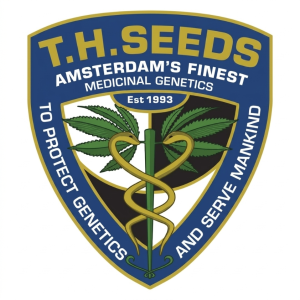 Gelato 33 x Birthday Cake from TH Seeds for sale Online