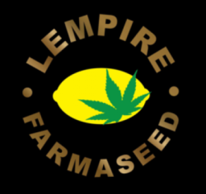Dirty Runtz from Lempire Farmaseed regular seeds Online
