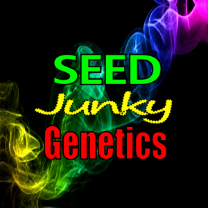 Order Cap Junky S1 feminized seeds from Capulator & Seed Junky Genetics