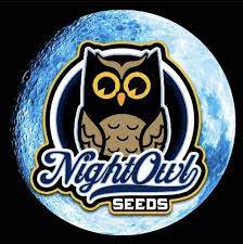 Buy Chem n’ Kush cannabis seeds By Night Owl Seeds