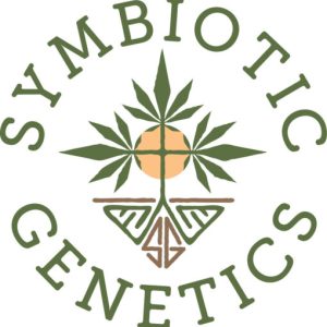 Rollinia Hybrid Feminized Cannabis Seed By Symbiotic Genetics