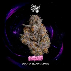 Buy Shazam Cannabis Seed by Wizard Trees Genetics Online