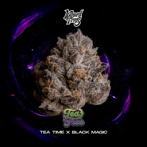 Buy Tee Tree cannabis seeds by Wizard Tree Genetics Online