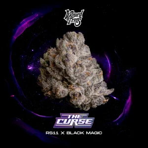 Buy The Curse cannabis seeds by Wizard Trees Genetics Online