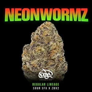 Buy Neon Wormz Hybrid Cannabis Seed By Doja Pak
