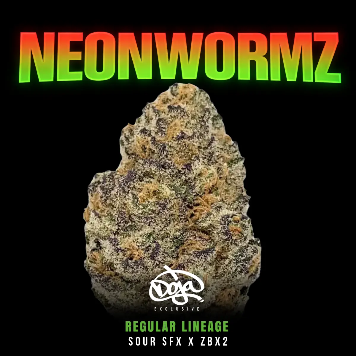 Buy Neon Wormz Hybrid Cannabis Seed By Doja Pak