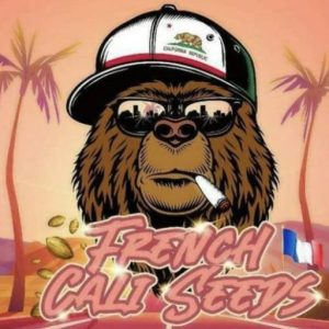 Best Cannabis Seed Bank in Europe