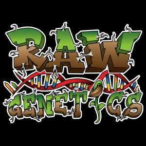 Buy Raw Genetics Seeds Online - Raw Genetics Seed Bank