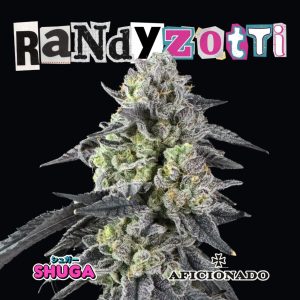 Order Randy Zotti (Shug Seeds X Aficionado Collab) Regular Seeds