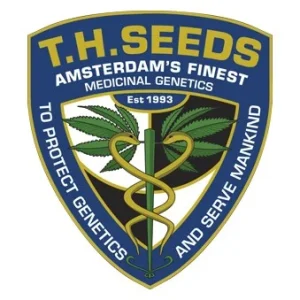 TH Seeds feminized cannabis seeds for sale from Amsterdam