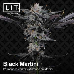 Black Martini from LIT Farms Feminized Seeds