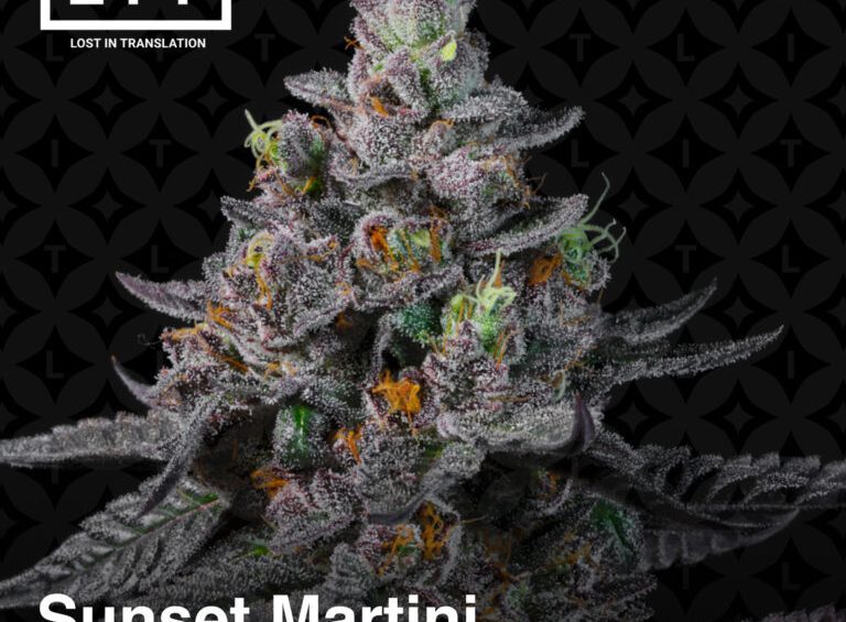 Lit Farms feminized cannabis seeds collection